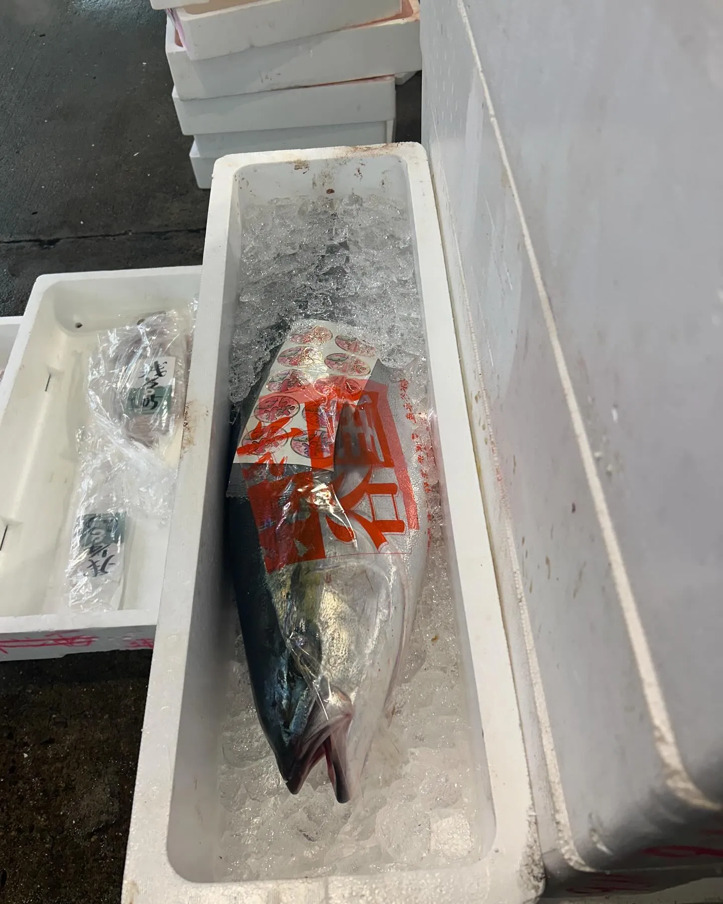 三重県　天然　春ブリ　入ってます。