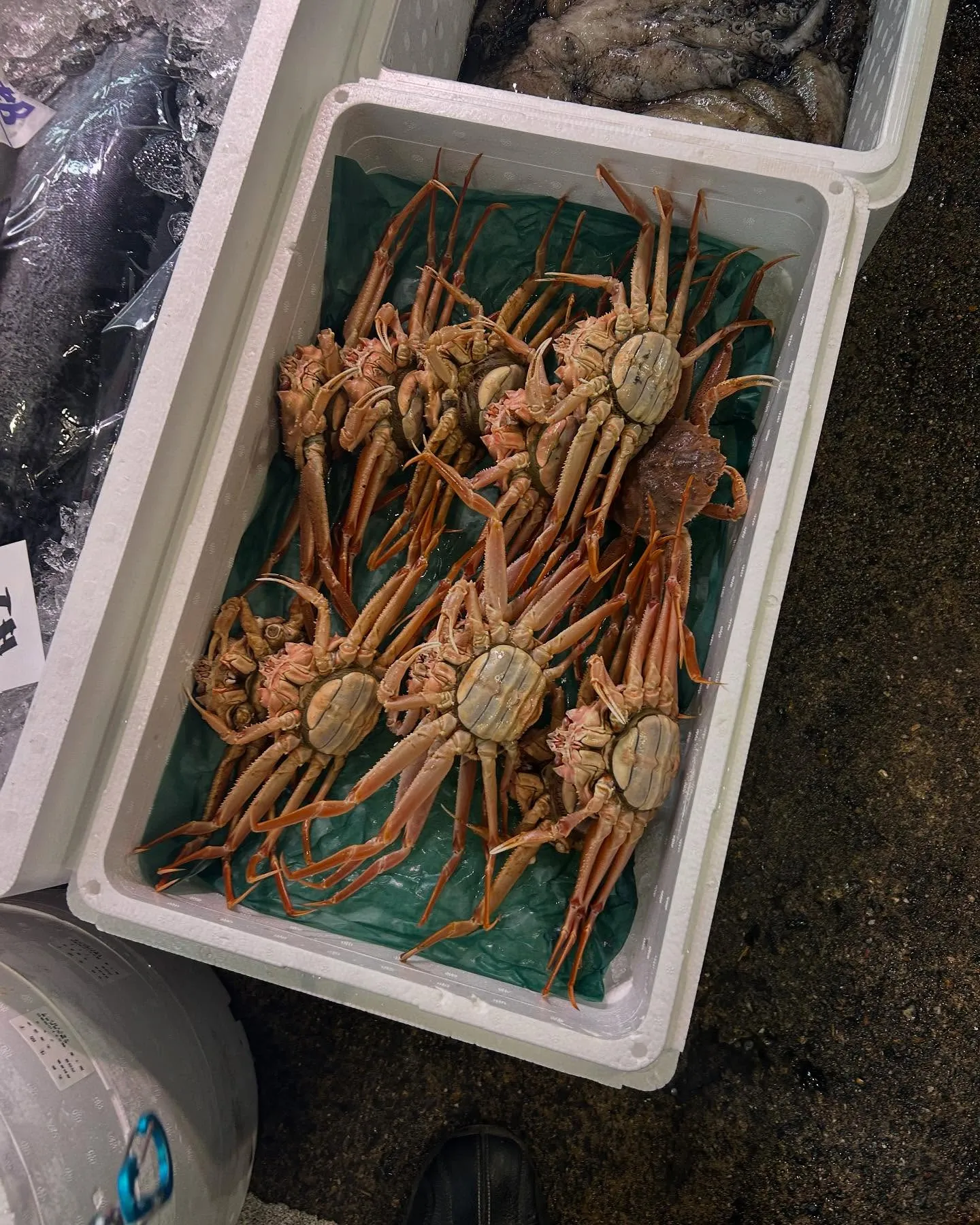 三重県　天然　春ブリ　入ってます。