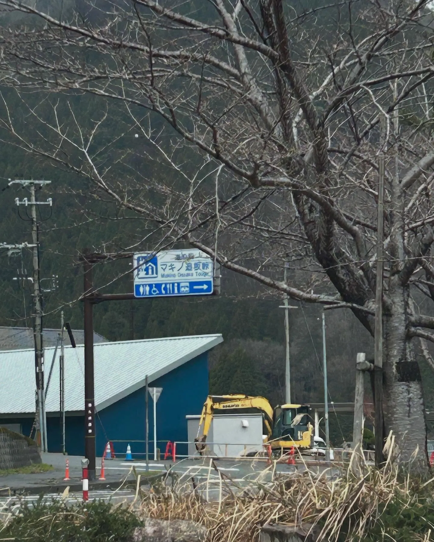 今日は、ホタルイカ掬いに富山を目指しまさたが、強風　雪が降っ...