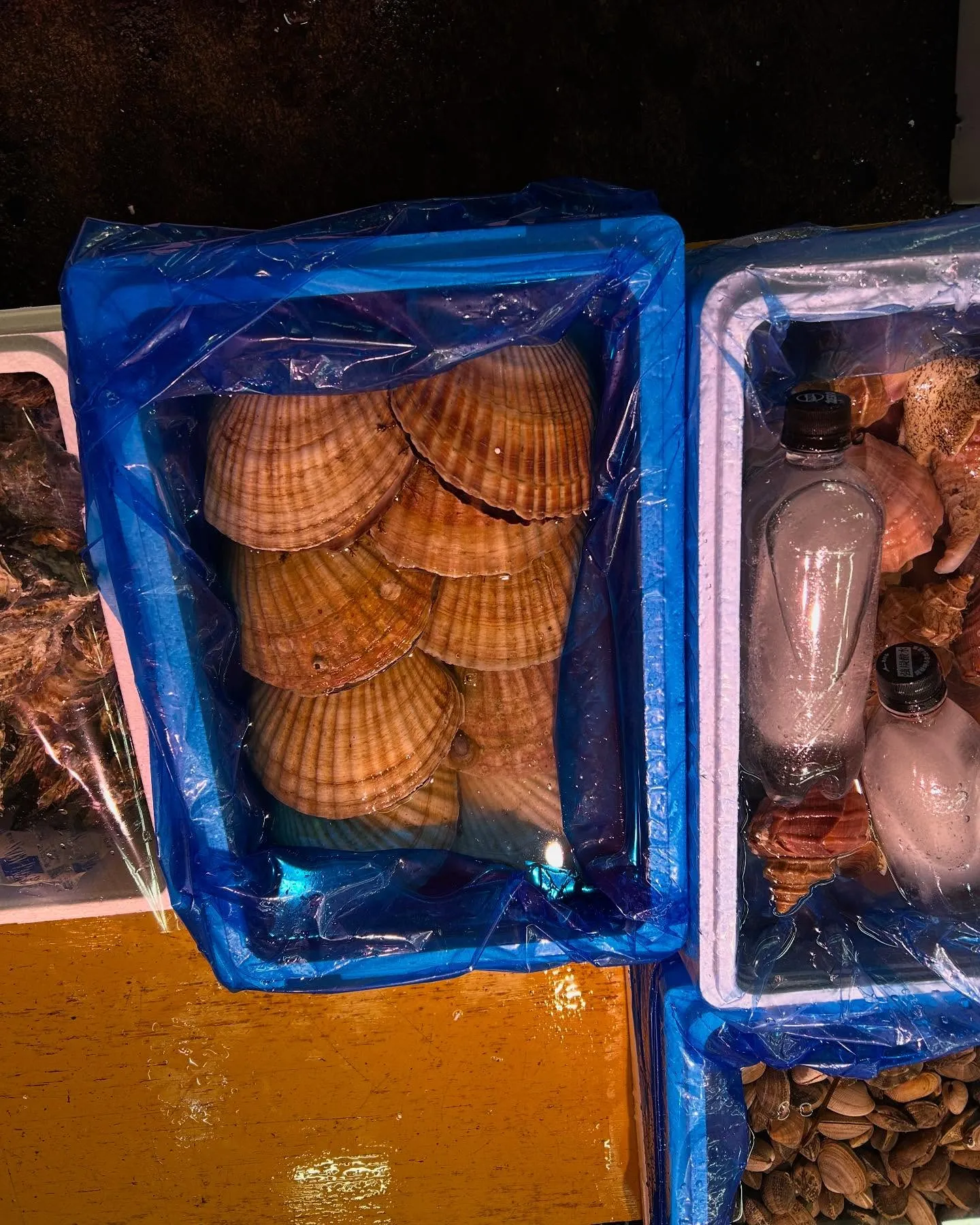 今日の市場は、こんな感じでした。