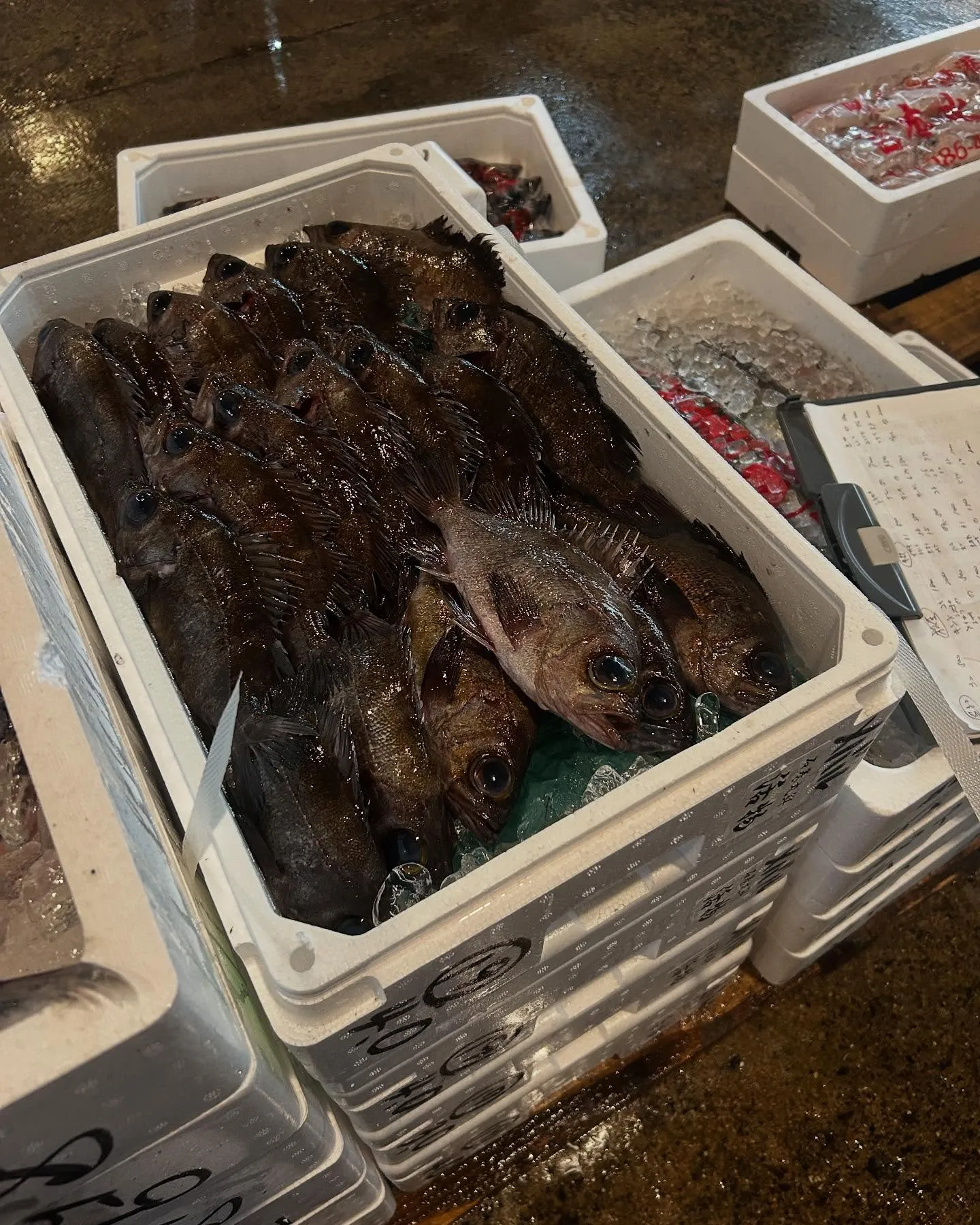 安かったんで買いました。