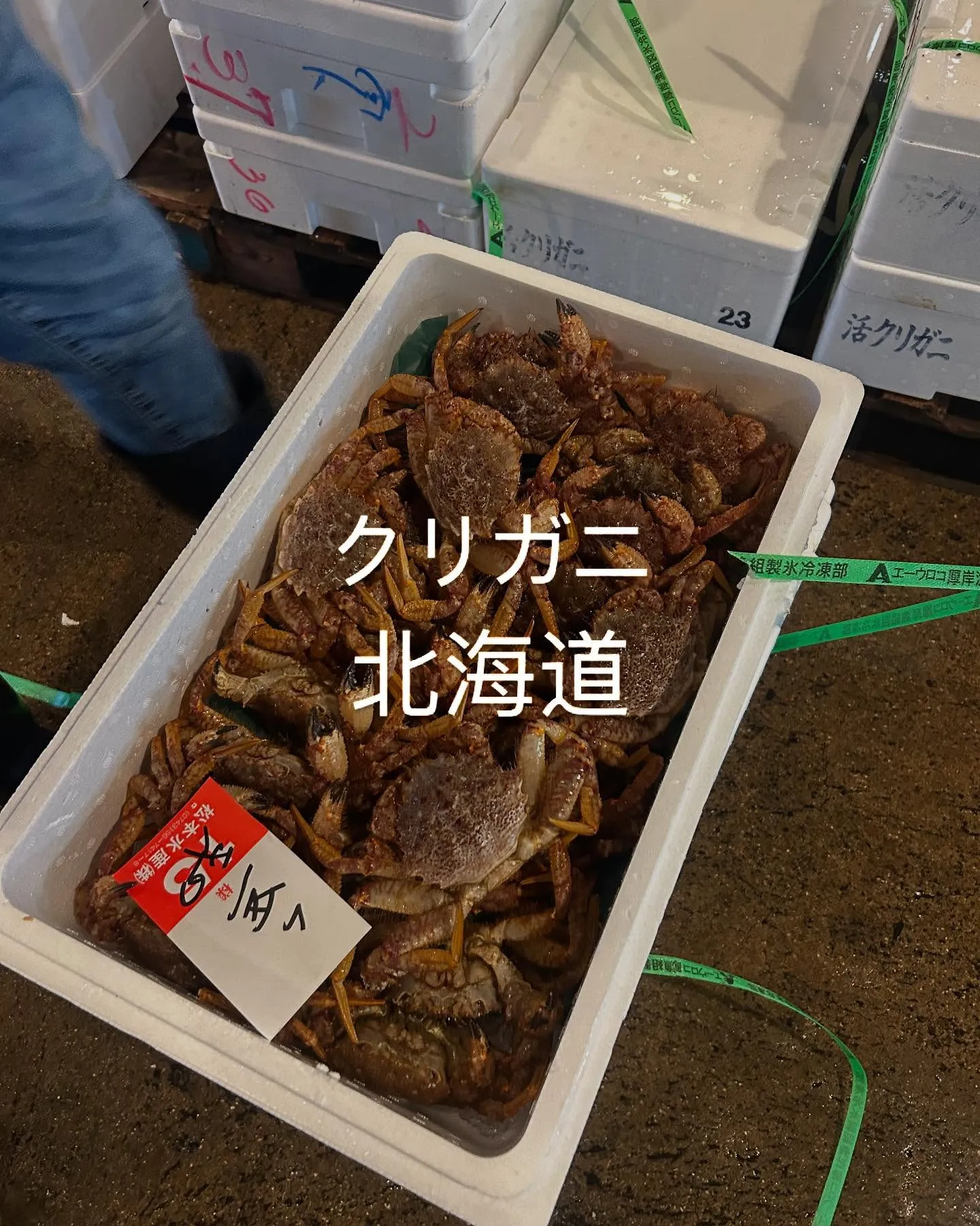 安かったんで買いました。