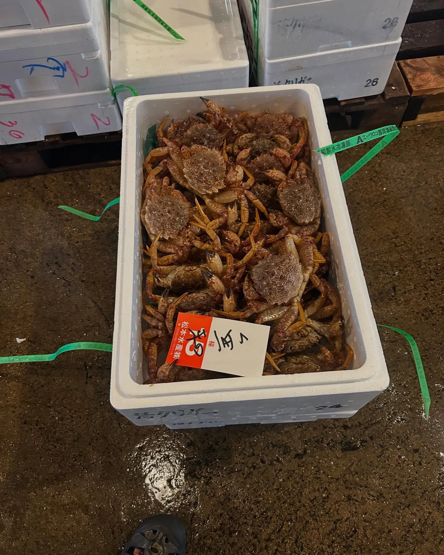 安かったんで買いました。