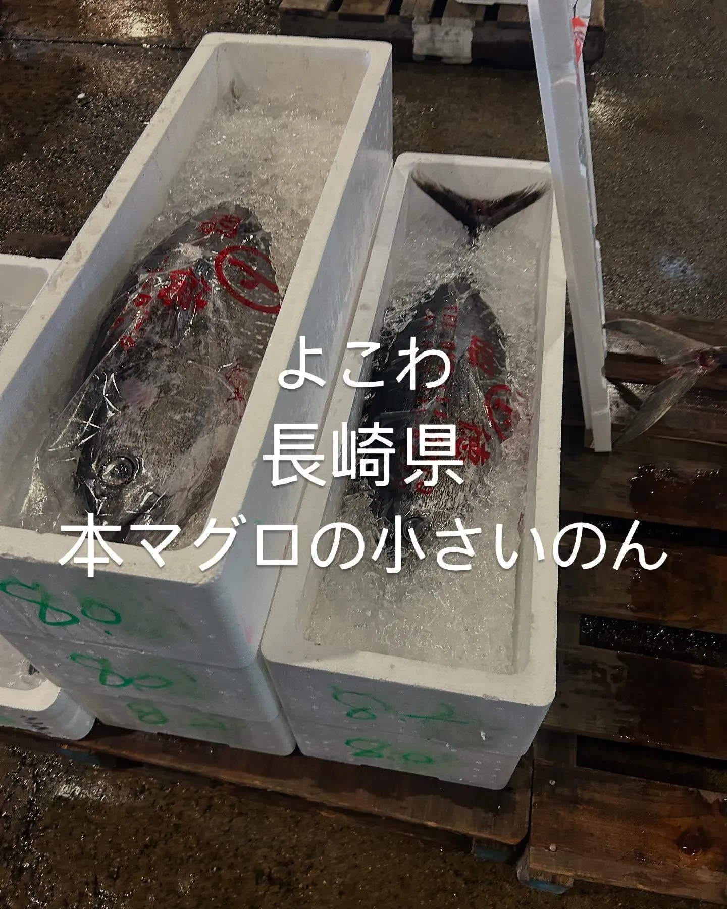 安かったんで買いました。