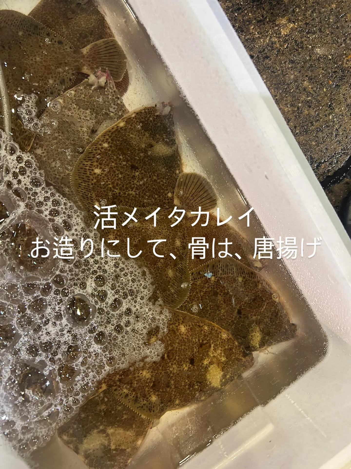 今日は、ウワサの2025 