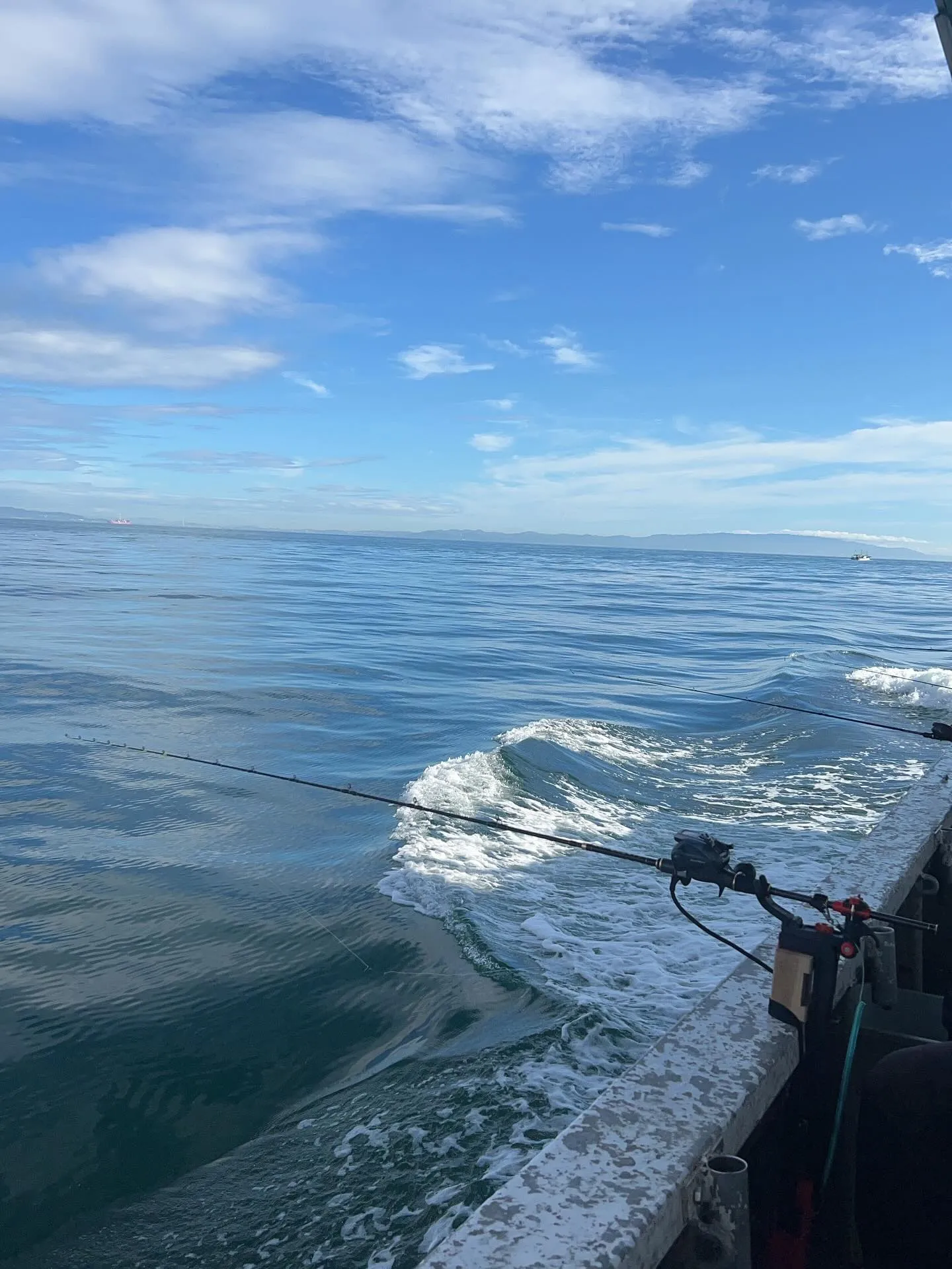 昨日は、落とし込みの釣りに🎣