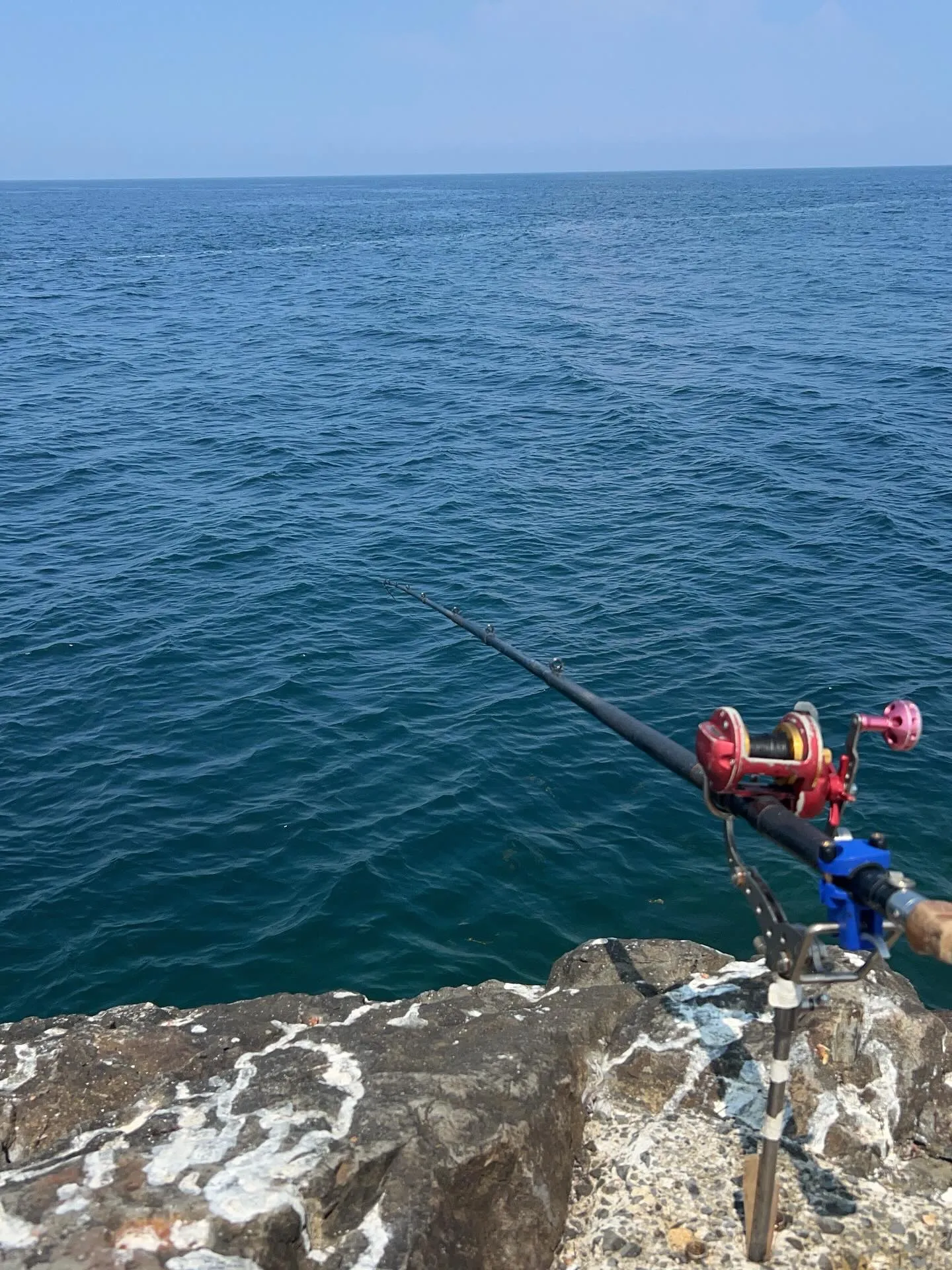 昨日は、和歌山