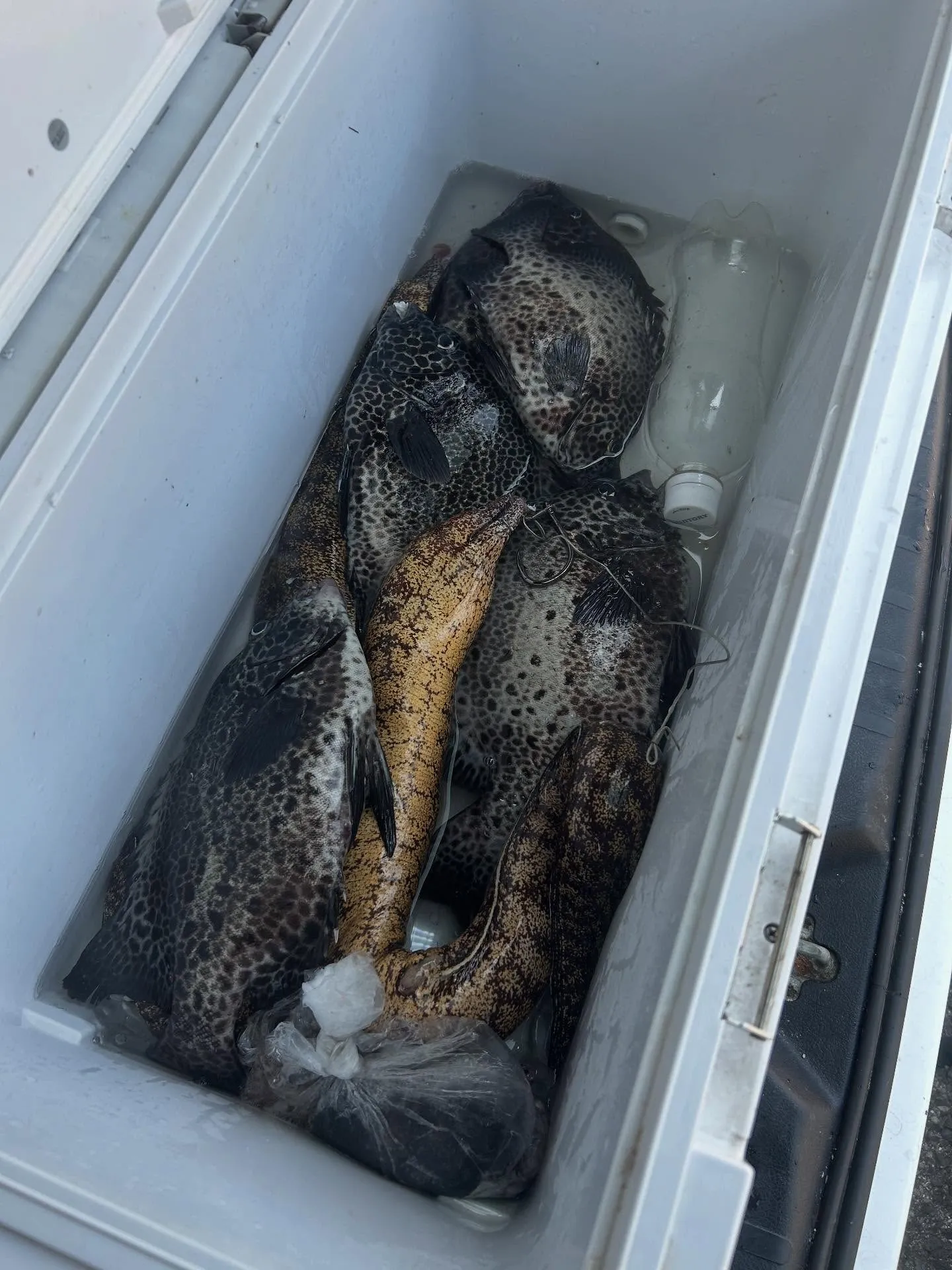 昨日は、和歌山