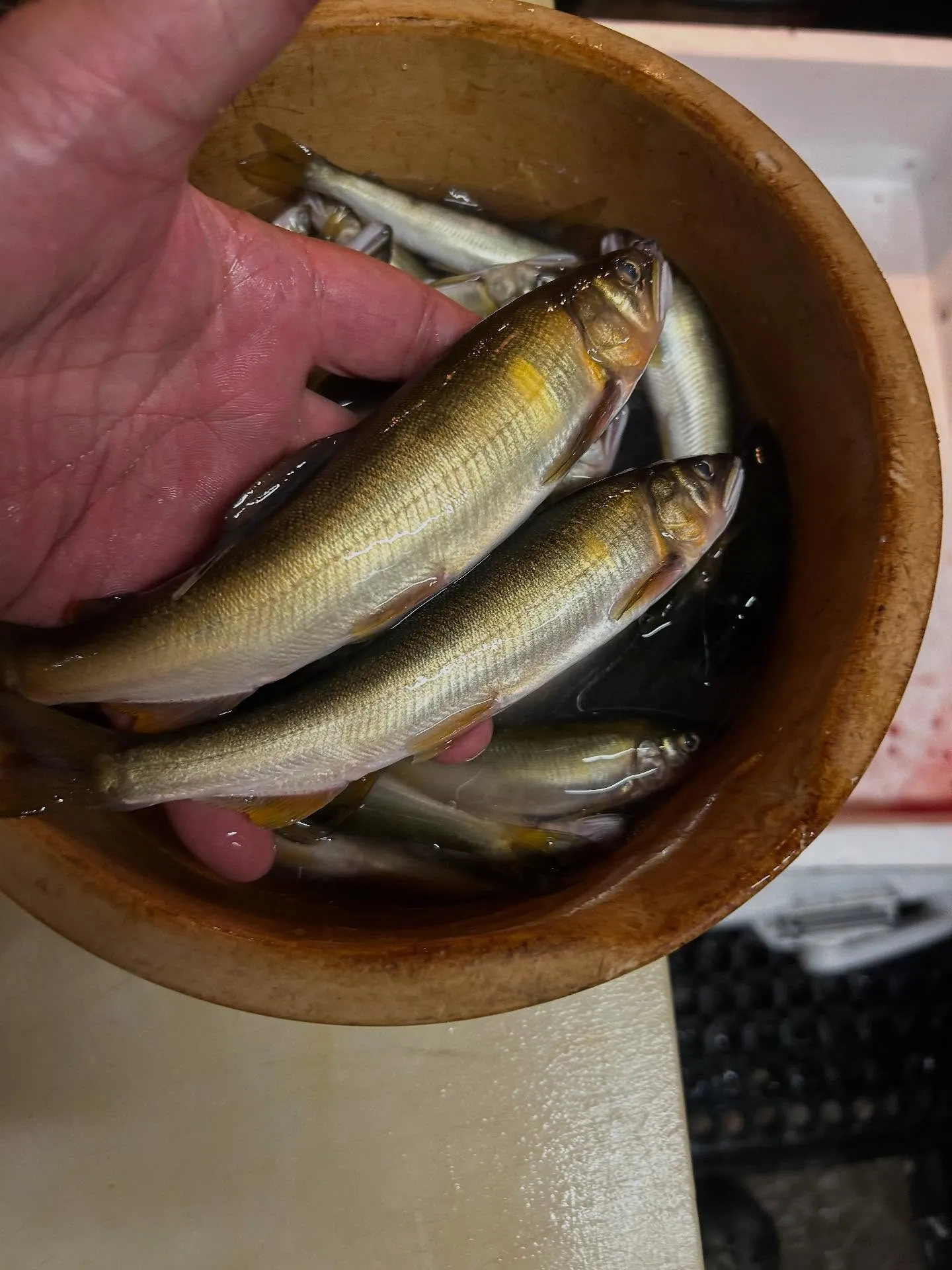 昨日は、和歌山