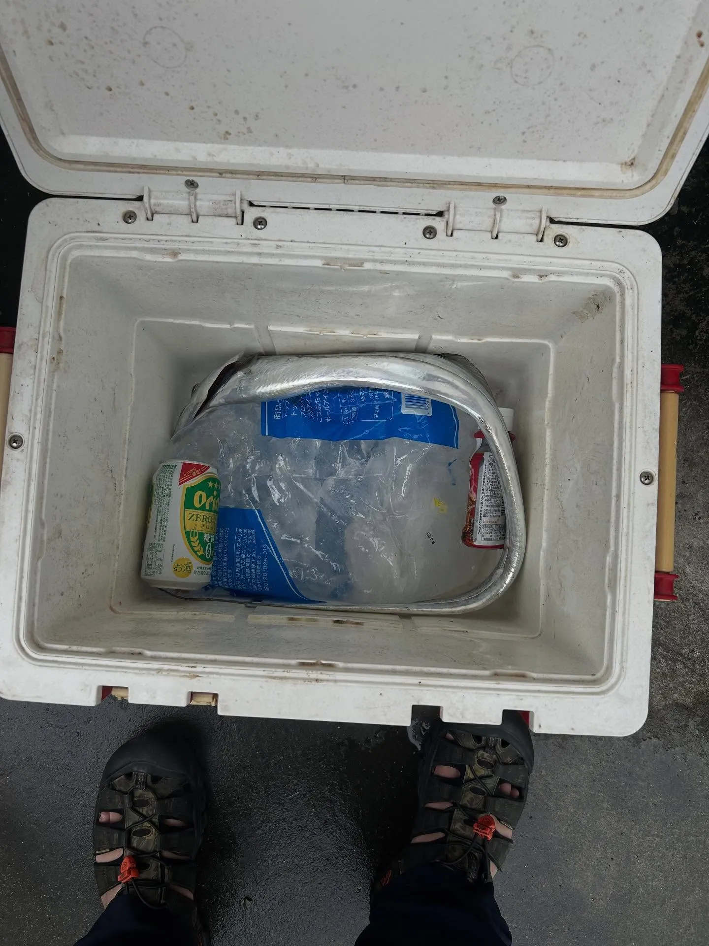 ２６日から２９日まで