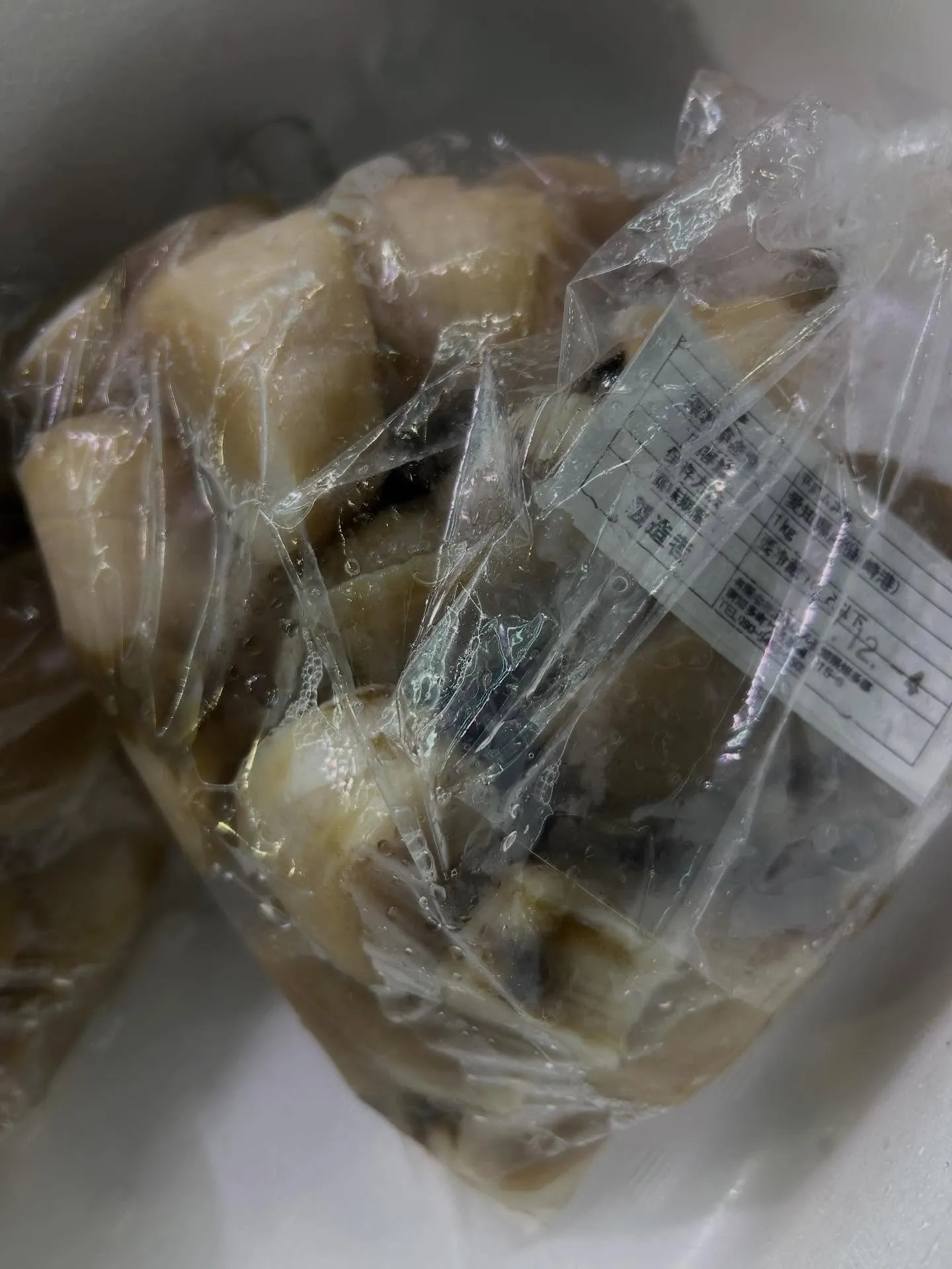 タイラギガイ　愛知