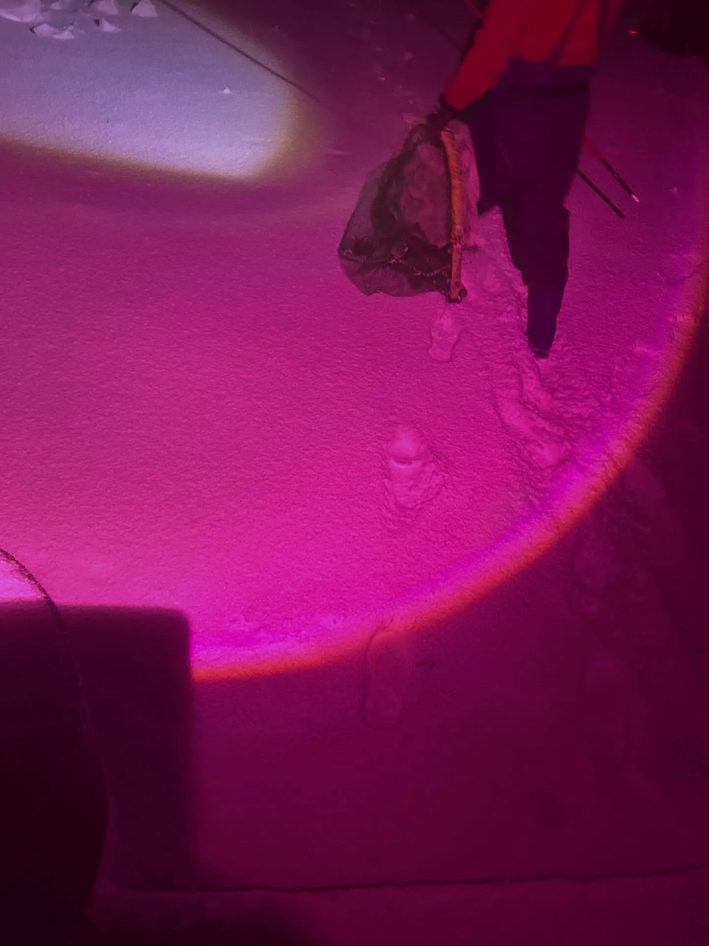 昨夜は、吹雪🌨️の中、ワカサギ求めて、琵琶湖へ、