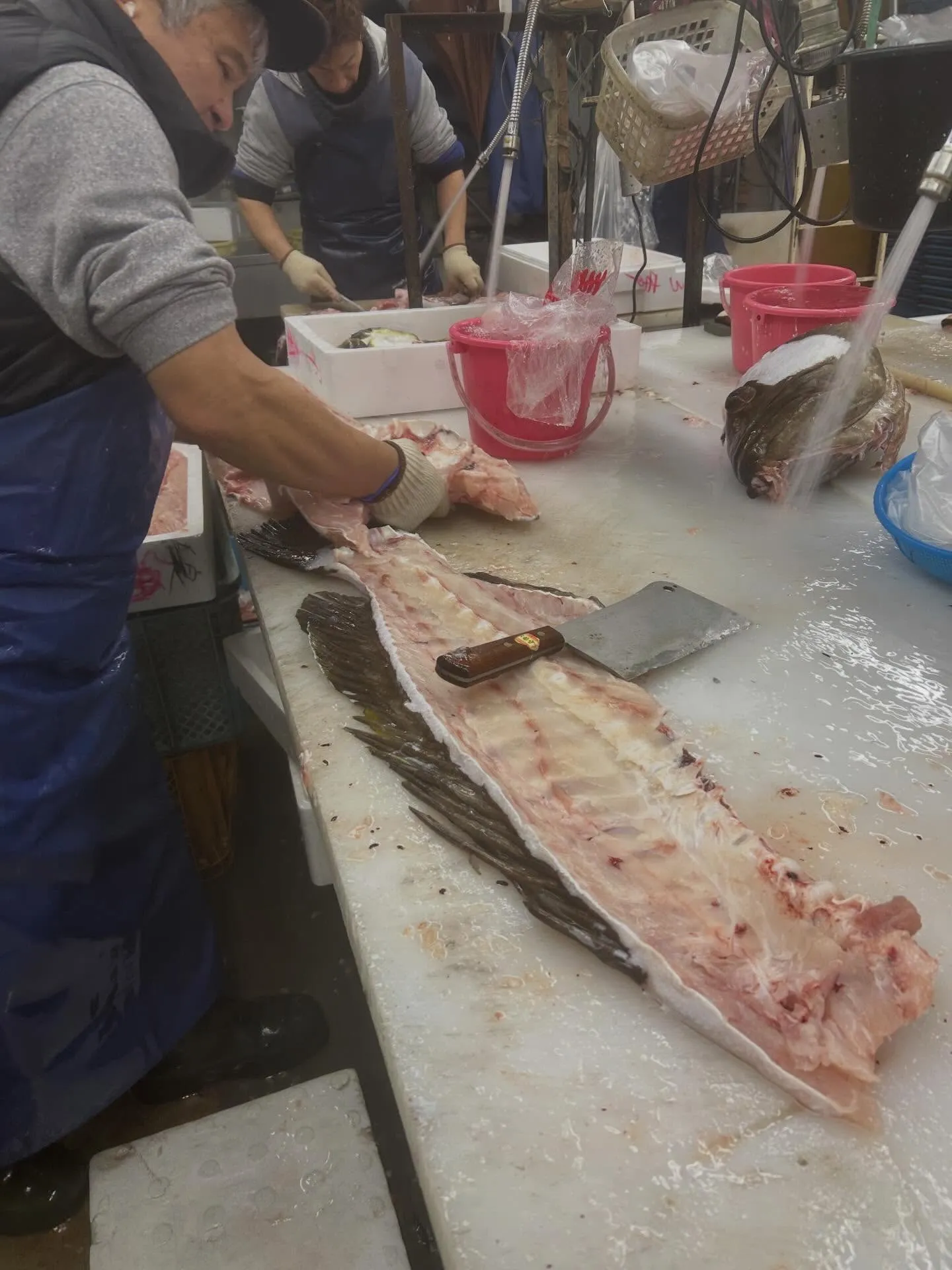 キンキ　北海道