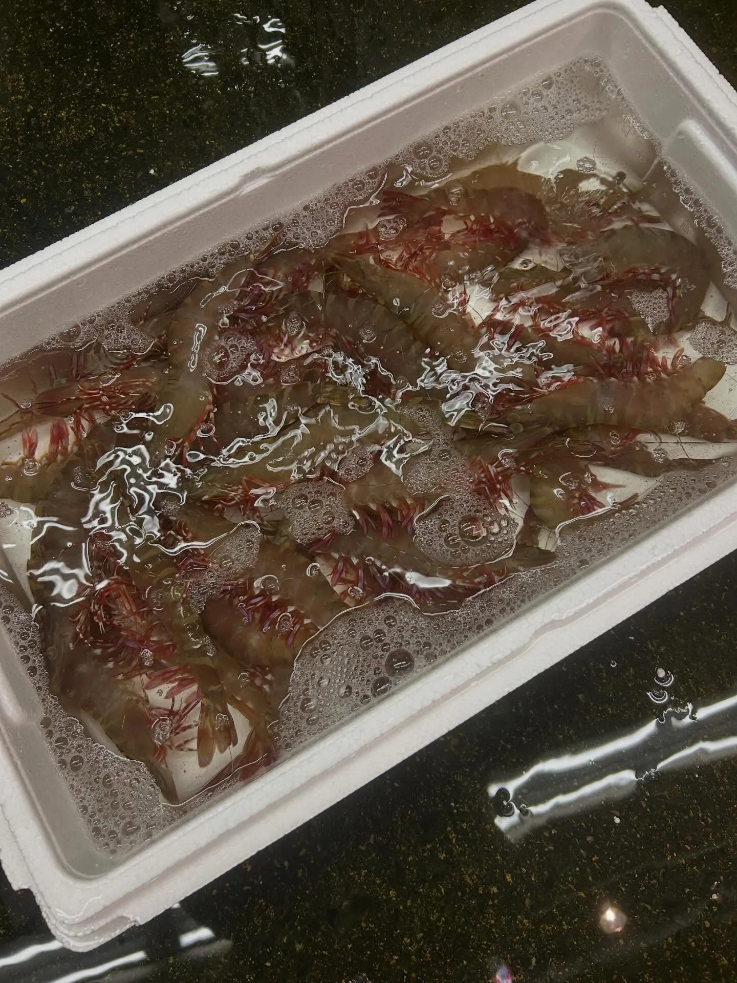 足赤エビ　お造り　塩焼き　天ぷら