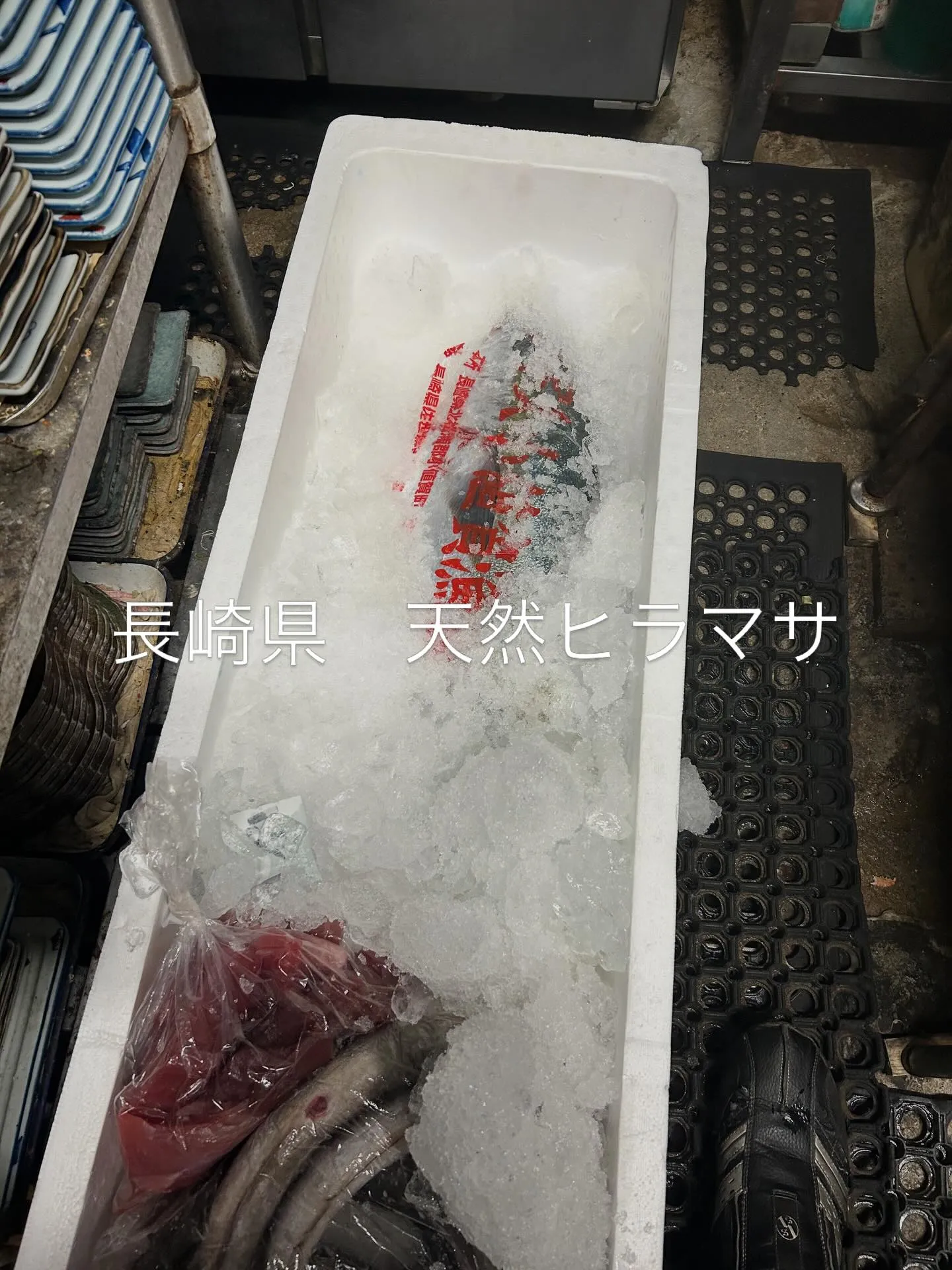 今日のオススメ