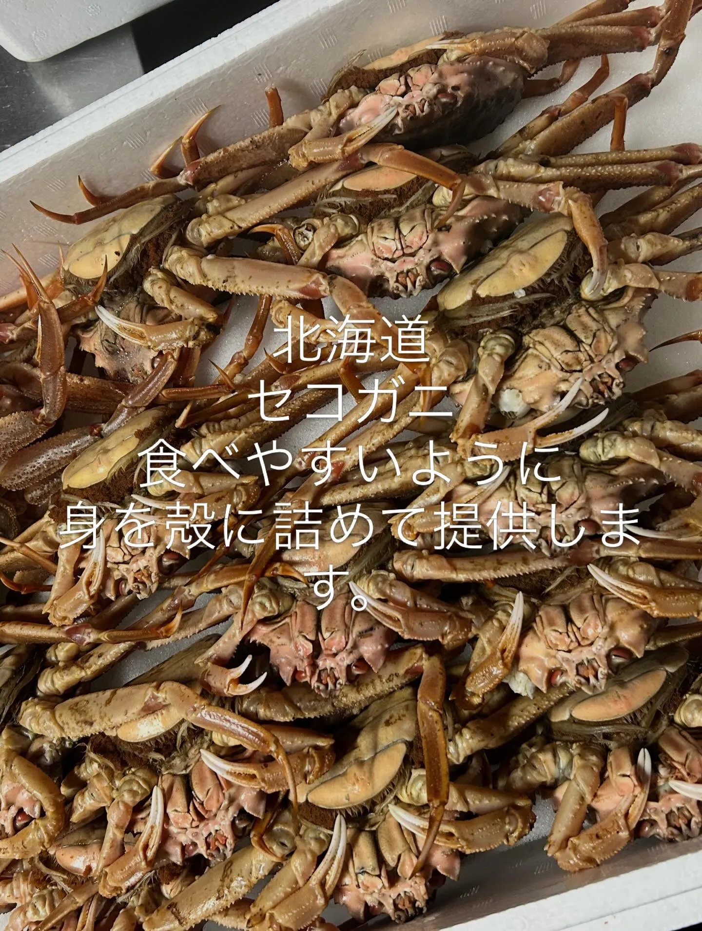 今日のオススメ