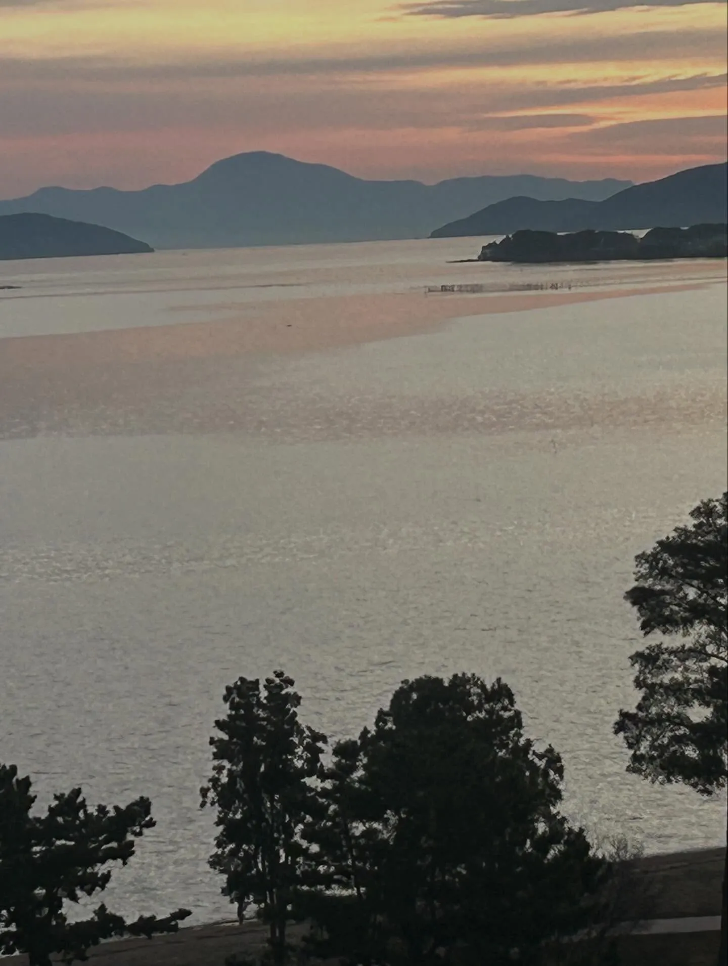 琵琶湖　本モロコ