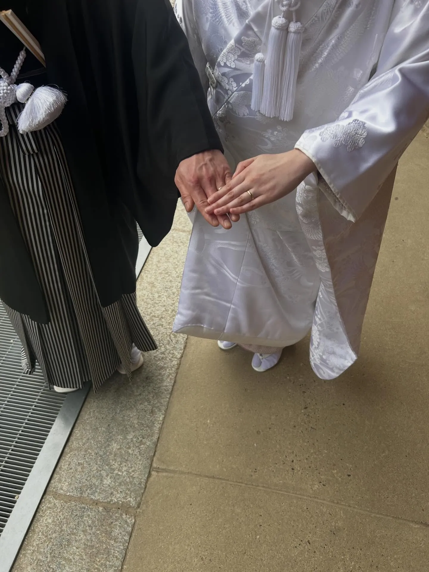 今日は、天気も良く☀️