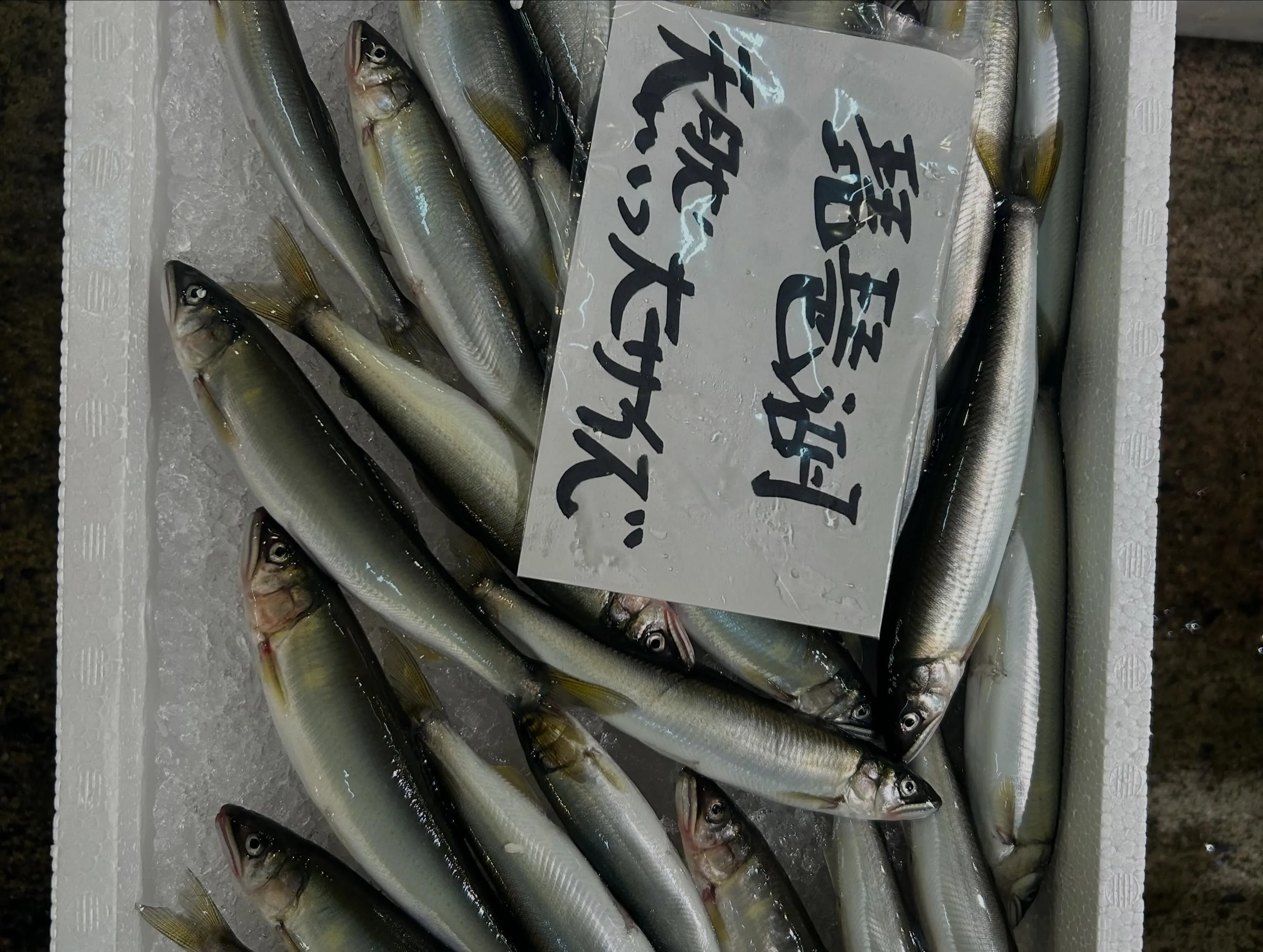 富山県産　白エビ造り　天ぷら