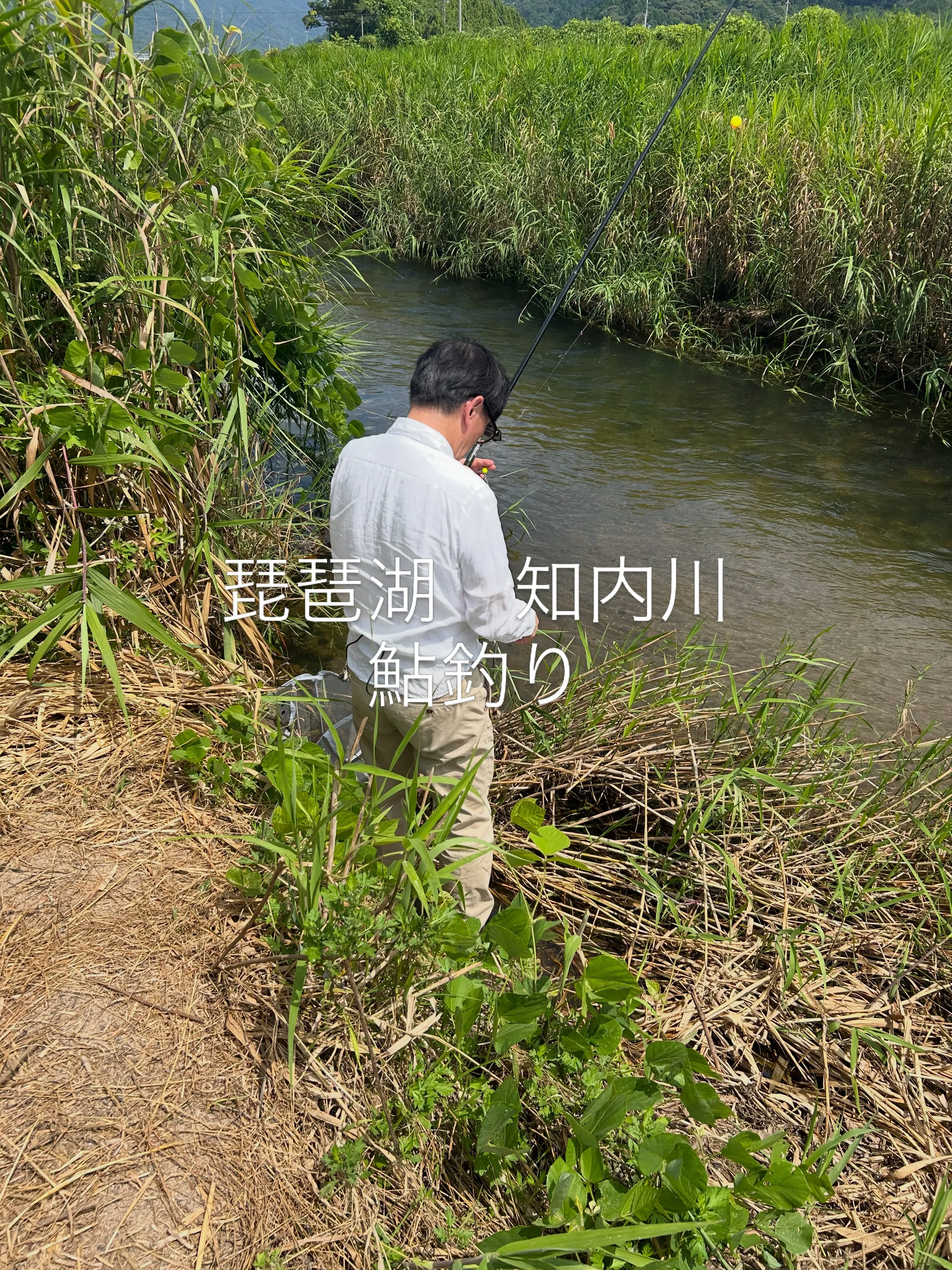 日曜日は、中学時代の、同級生と鮎釣り