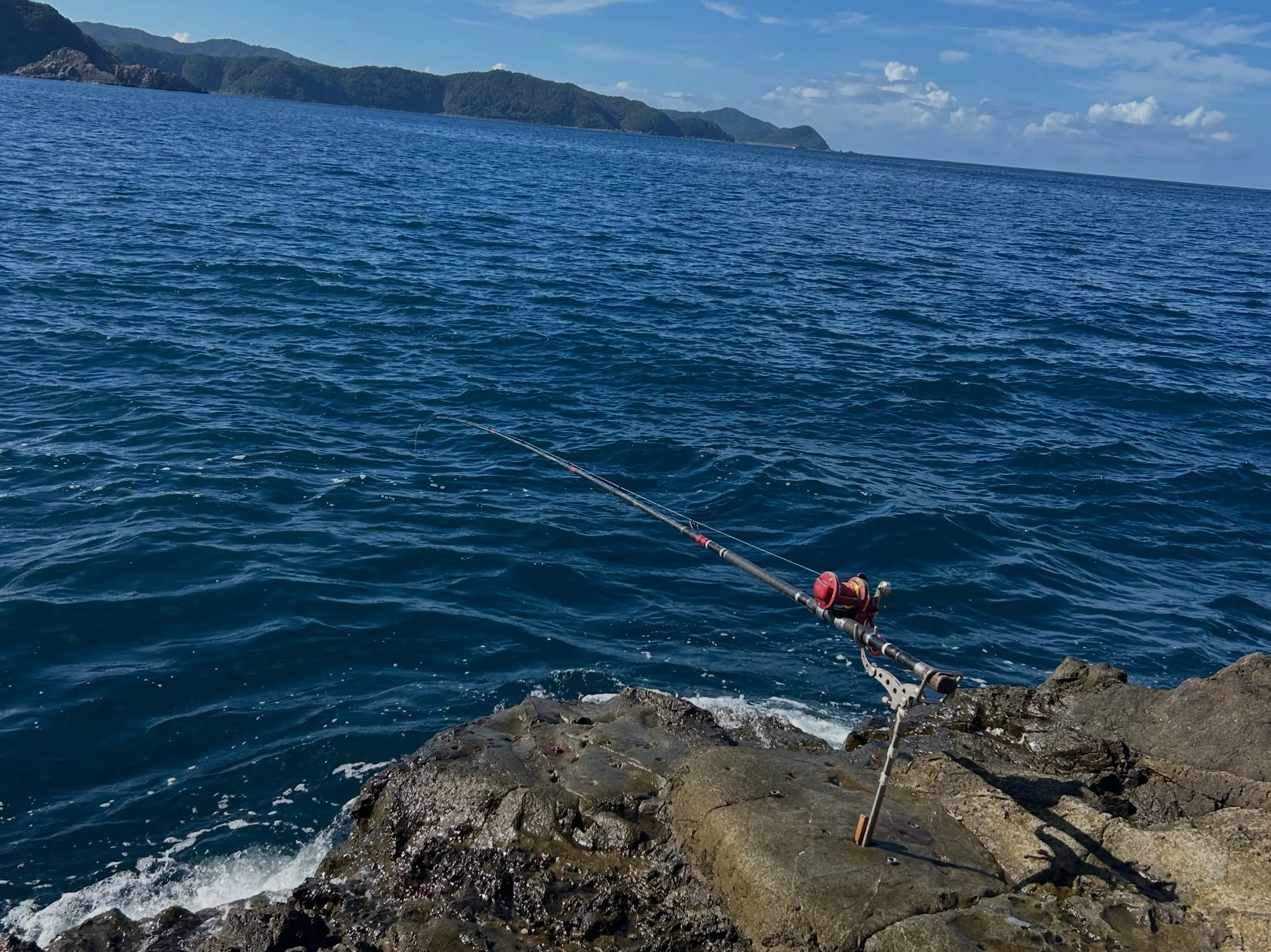 和歌山由良へ、底物釣りに🎣