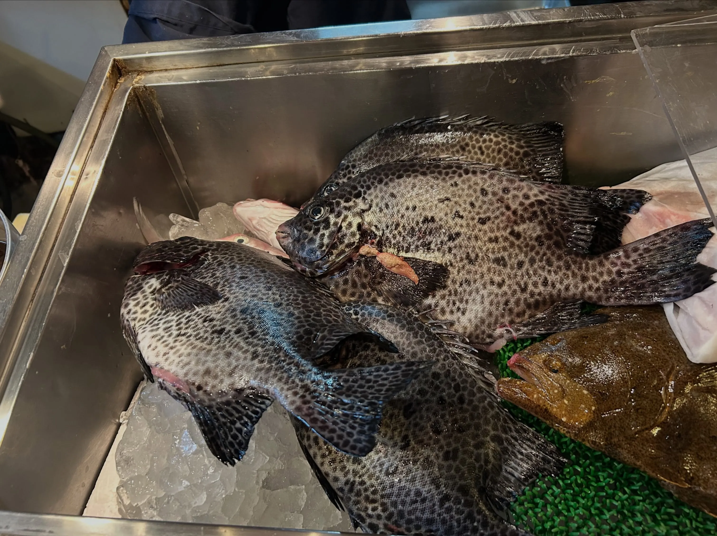 和歌山由良へ、底物釣りに🎣