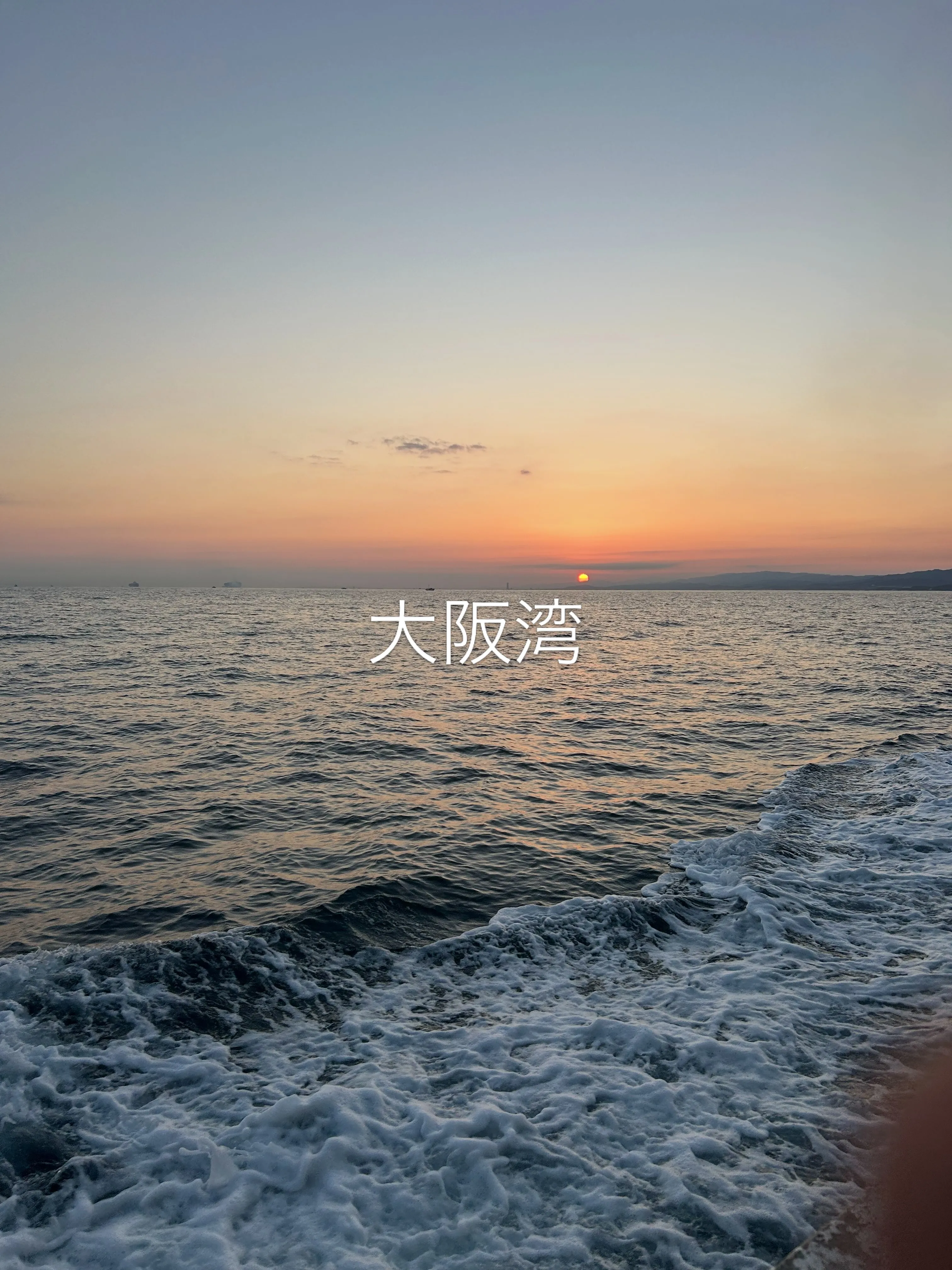 淡路沖