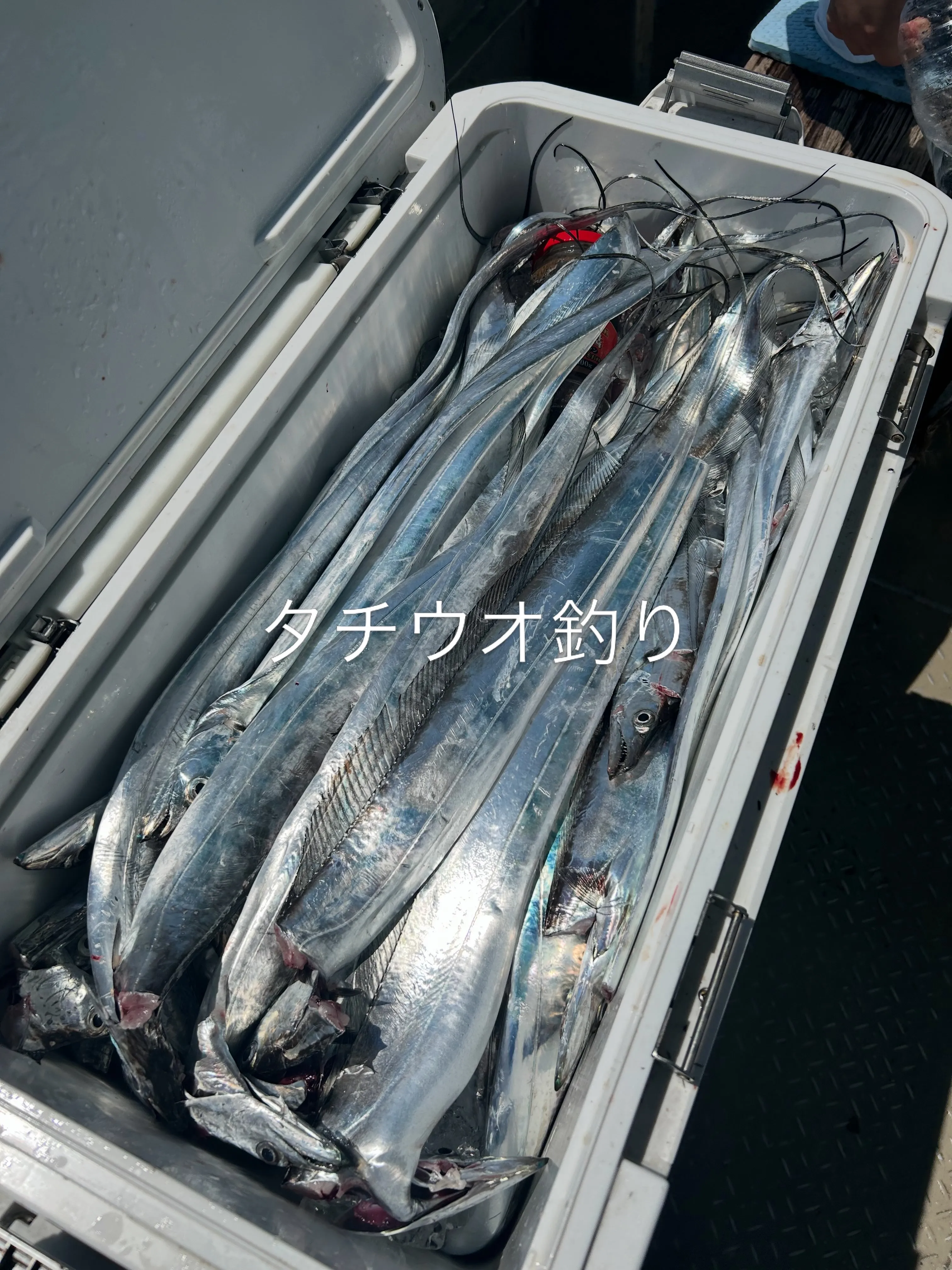 淡路沖