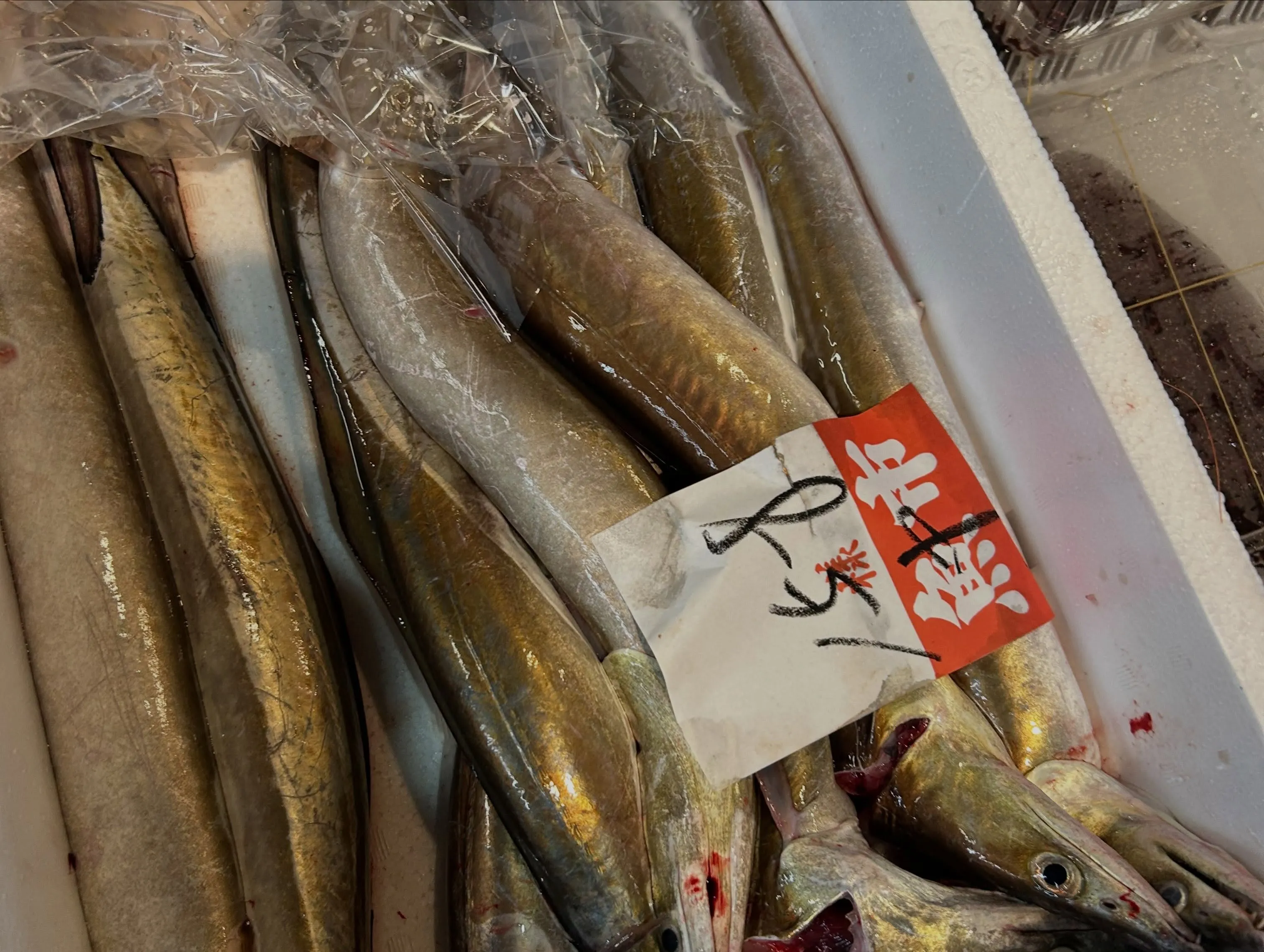 今日のところは、まだ魚🐟色々ありました。