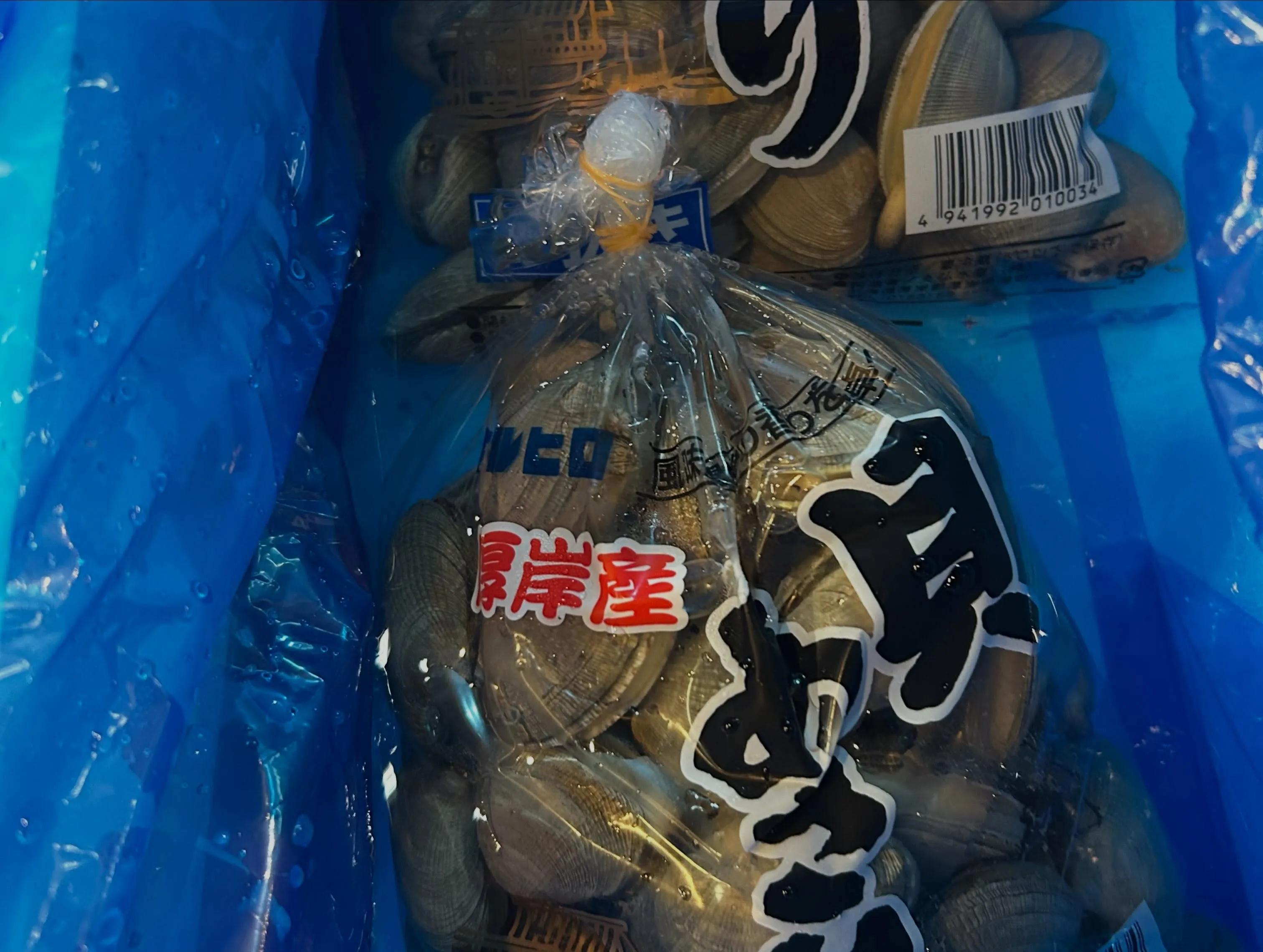 今日のところは、まだ魚🐟色々ありました。
