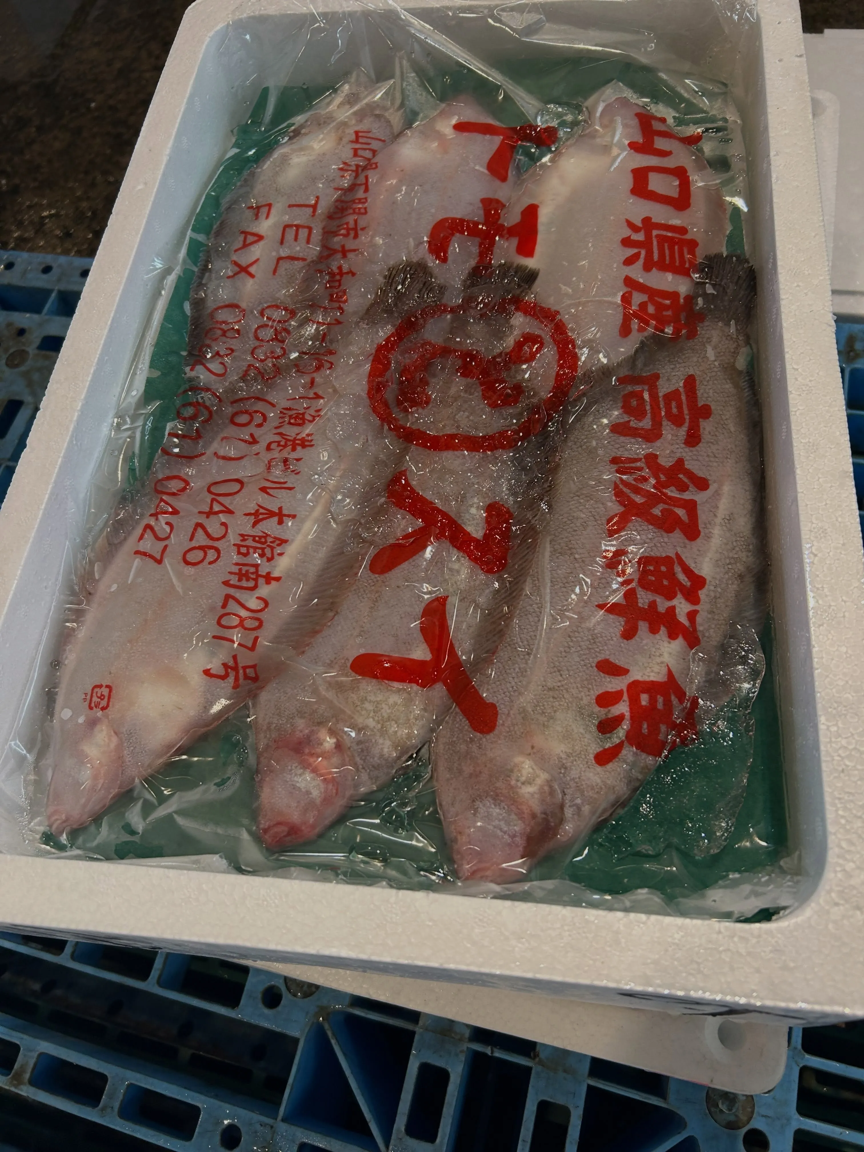 毛蟹買いました。