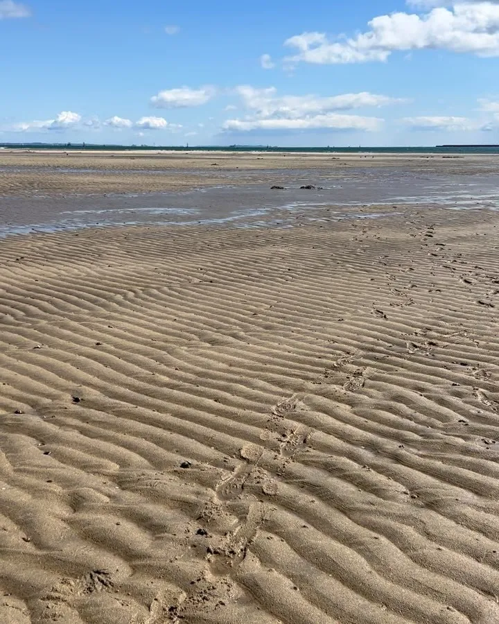 ハマグりとりにいってからの、シジミとりに