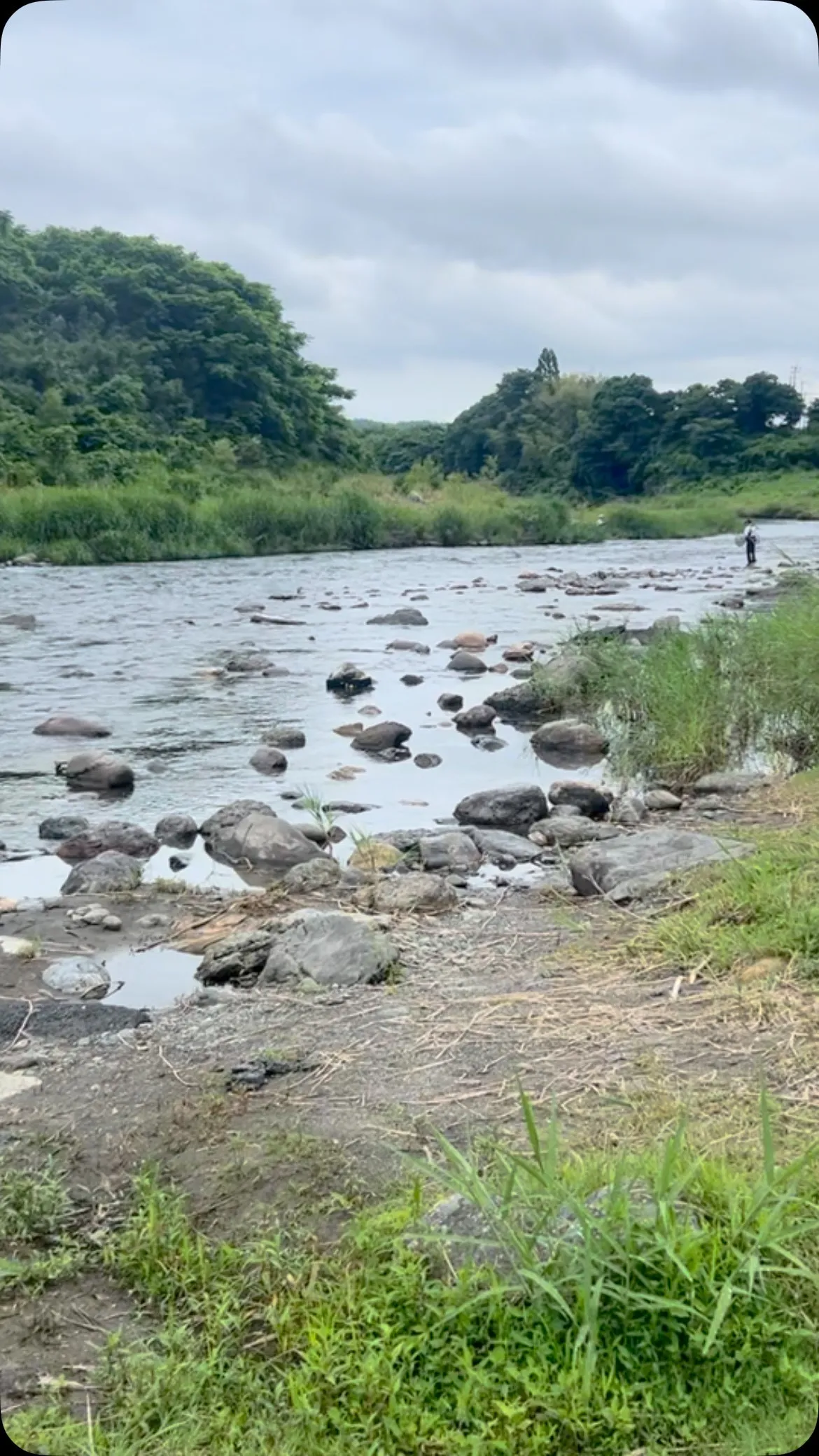 今日も、安曇川へ