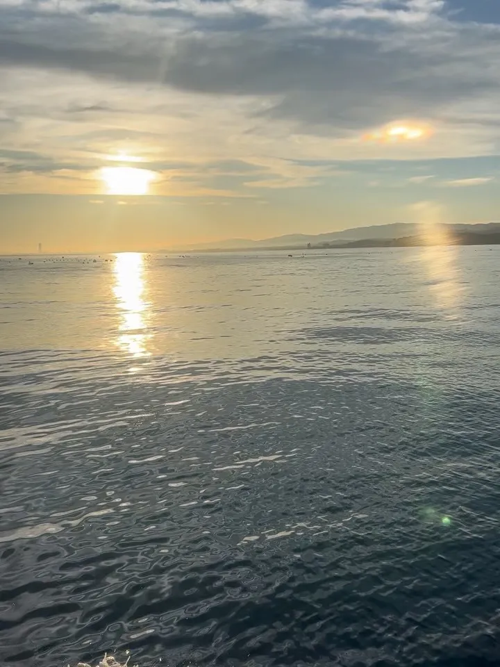 昨日は、落とし込みの釣りに🎣