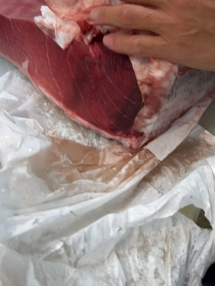 本日のオススメ