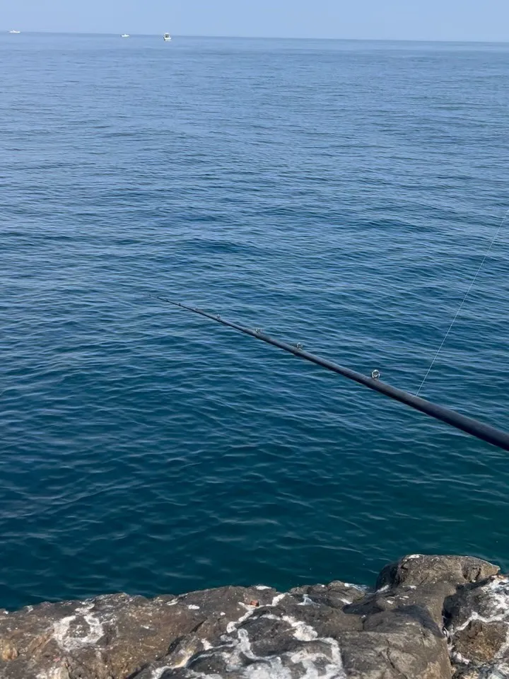 昨日は、和歌山