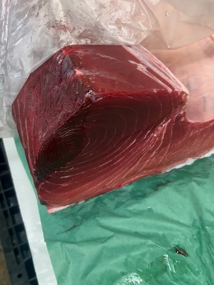 宮城県　生本マグロ