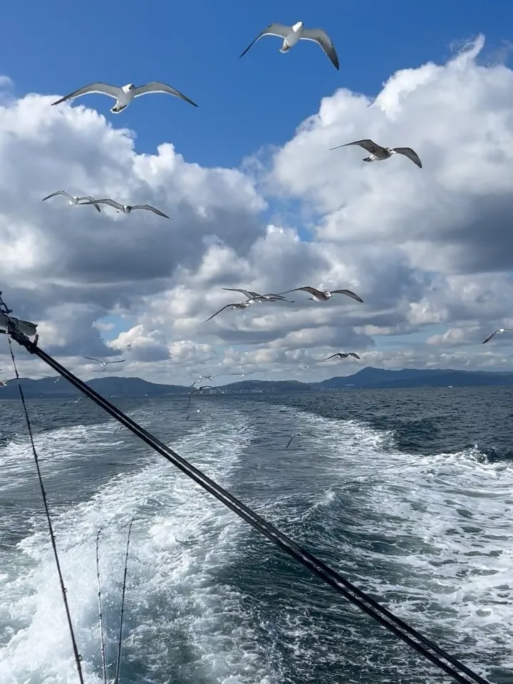 今日は、洲本沖へ、タチウオ釣り🎣