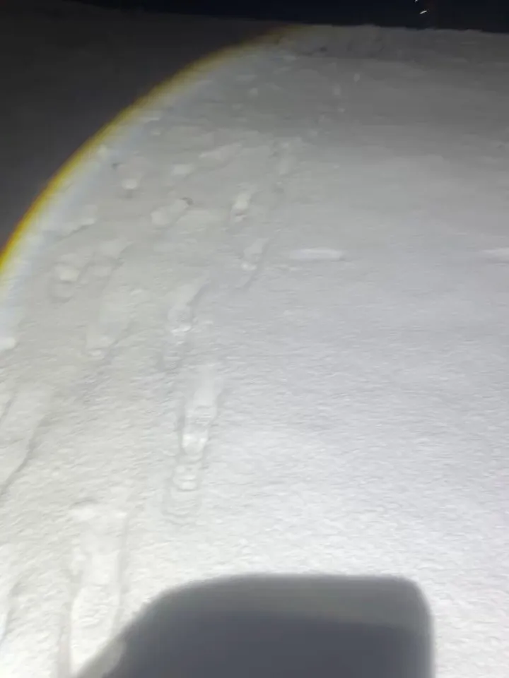 明けまして、おめでとう御座います㊗️