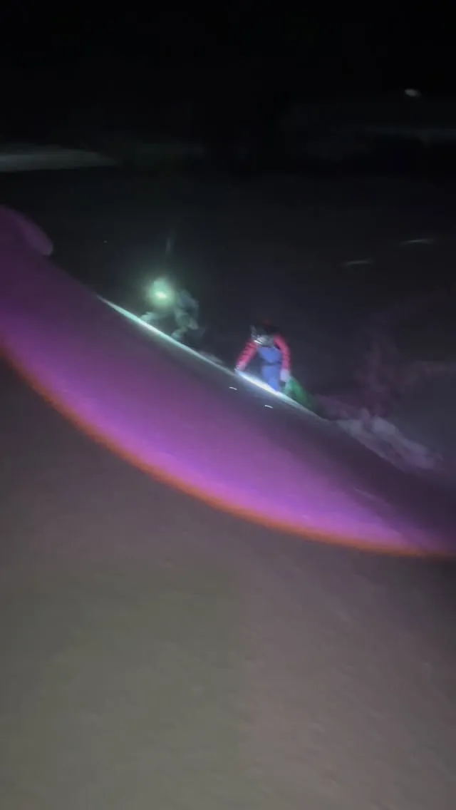 琵琶湖のワカサギ