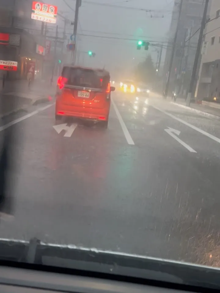 今日の、仕入れ